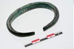 Foto von Bronzeperlarmeif (NHMW-PRAE-024284)